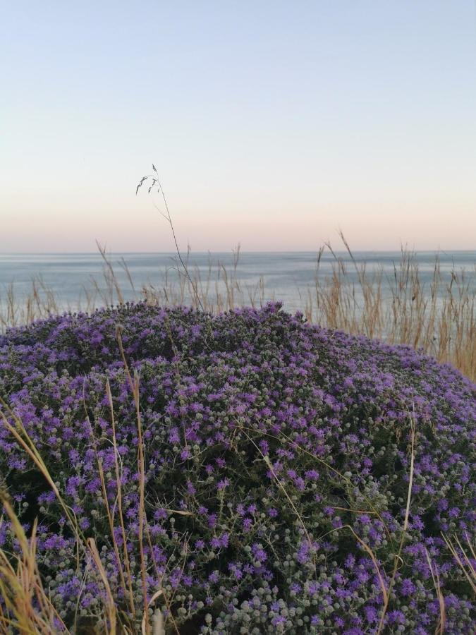 Вілла Blue Coast House Goudhouros Екстер'єр фото